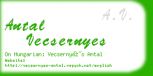 antal vecsernyes business card